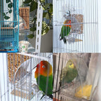 Hamiledyi Automatic Parrot Feeder - Image 5