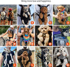 Lightweight Pet Backpack Carrier - Image 5