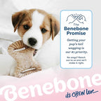 Benebone Puppy 2-Pack Dental Chew/Wishbone Real Bacon Small - Image 6