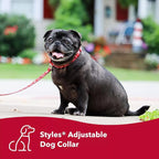 Coastal Pet Styles Adjustable Dog Collar - Image 3