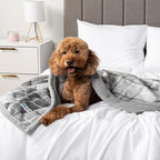 PetAmi Waterproof Dog Blanket for Medium Large XL Dog Puppy Cat Throw for Couch - Image 7