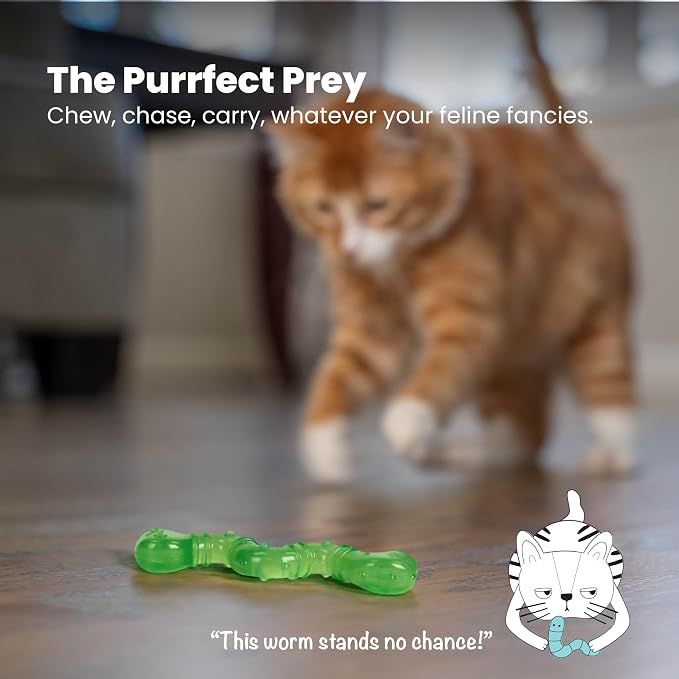 Petstages Orkakat Wiggle Worm Dental Catnip Cat Chew Toy - Image 6