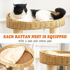 Modern Cat Tree for Indoor Cats, Wood Cat Tree - Image 3