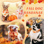 Chunful 100 Pieces Thanksgiving Dog Bandanas Bulk Fall Autumn Pet Bandanas - Image 6