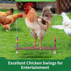 2PCS Chicken Bird Swings - Image 3