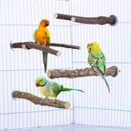 Mogoko 4 Pcs Bird Perches Parrot Stand Natural Wood Perch Parakeet Toys Bird - Image 2