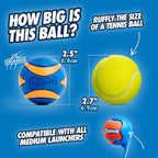 Chuckit! Ultra Ball Dog Toy - Image 5
