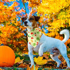 Weewooday 50 Pcs Thanksgiving Fall Dog Bandanas Bulk Pumpkin Maple Leaves - Image 7