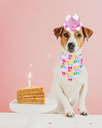 PET SHOW Pink Crown Hat Dog Birthday Party Supplies - Image 6