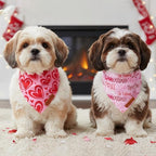 ADOGGYGO Valentine Dog Bandanas 2 Pack, Reversible Heart Love Print Puppy Scarf - Image 2
