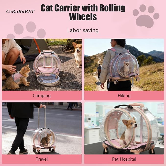 Transparent & Fully Breathable Hard Cat Carrier - Image 4