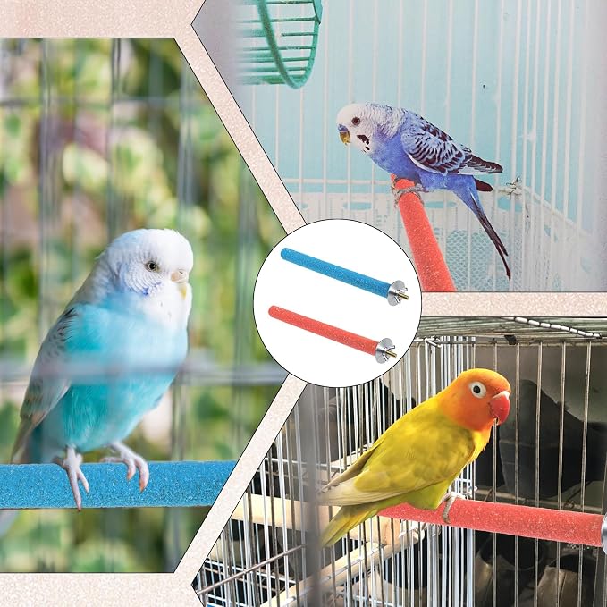 Bird Perches Stand for Cage - Image 5