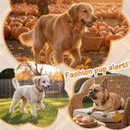 Cotton Fall Dog Collar, Halloween Dog Collars - Image 7