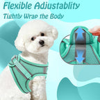 AIITLE Easy Walk Dog Harness and Leash Set - Image 3