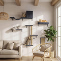 MEWANG 5-in-1 Cat Wall Shelves: Cat Climbing Furniture by MEWANG