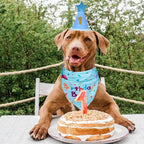 Dog Boy Girl Birthday Party Hat, Dog Birthday Party Supplies, Birthday Bandana - Image 7
