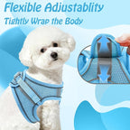 AIITLE No Pull Dog Harness and Leash Set, Step in Adjustable Dog Harness - Image 9