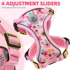 PUPTECK Cat Harness and Leash Set Escape Proof Reflective Cat Walking Harness - Image 5