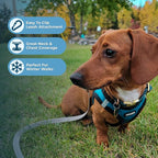 Best Pet Supplies - Image 5