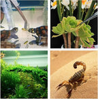 3 in 1 Aquarium Aquascape Tools Kit Long Stainless Steel Aquarium Tank Aquatic - Image 8