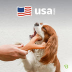 Benebone Peanut Butter Flavored Wishbone Chew Toy - Image 5