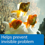 API 5-in-1 Test Strips Freshwater and Saltwater Aquarium Test Strips 25-Count - Image 5