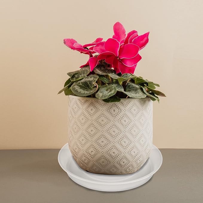 6 Pack of 8 inch Plant Saucer Clear, Heavy Duty Plastic Plant Water Tray 8 inch - Image 5