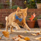THAIN Cat Collar Breakaway - Image 6