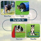 Dog Agility Course Backyard Set, Dog Agility Equipment, Portable Agility - Image 2