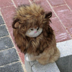 Onmygogo Lion Mane Wig for Cats and Dogs, Funny Pet Cat Costumes for Halloween - Image 4