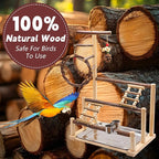 ‌Bird Playground, Natural Wooden Parrot Stand - Image 7