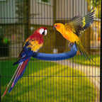 U Shape Parrot Perch Stand Toy Bird Platform Sand Paw Grinding Clean Stick - Image 2