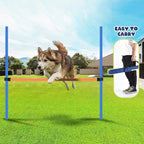 PAWISE Dog Agility Training Equipment, Pet Training Hurdles & Weave Poles Set by PAWISE