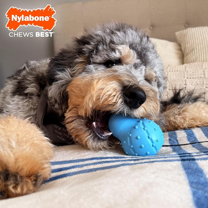 Nylabone Treatin' Cone Strong Stuffable Chew Toy - Image 3