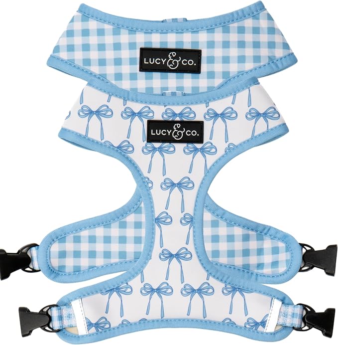 Lucy & Co. Cute Reversible Dog Harness Walking Halter by LucyCo