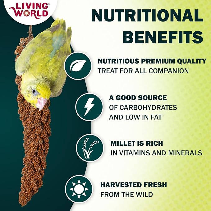 Living World - Millet Spray for Birds, 3.5 Oz – Premium Treat for Budgies - Image 2