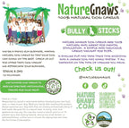 Nature Gnaws Bully Sticks for Dogs 11-12" - Image 5