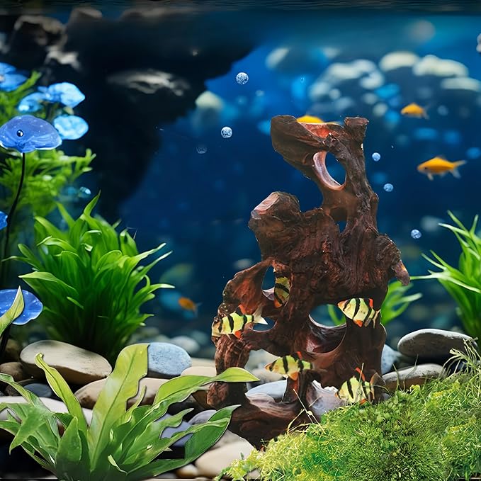 Natural Wood Aquarium Cave Betta Fish Hideout - Image 4