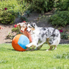 Chuckit! Big Air Fetch Ball Dog Toy Herding Instincts Dog Toy, - Image 7