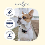 Lucy & Co. Cheery Cherries Dog Collar - Image 3