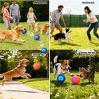 Valentines Day Gifts Dog Balls Interactive Dog Toys 2pc Shaky Ball Toy - Image 6