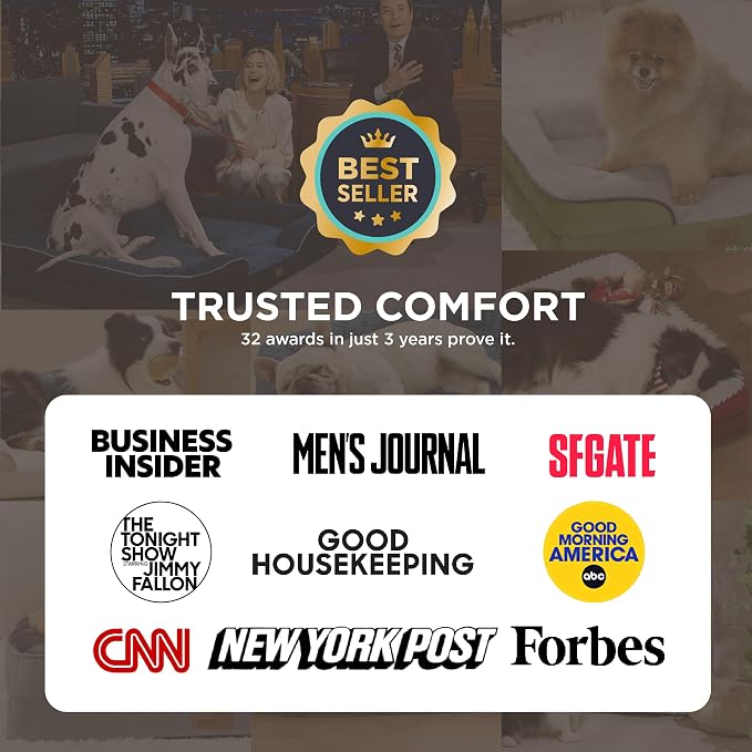 Bedsure Orthopedic Dog Beds for Small Dogs - Image 2
