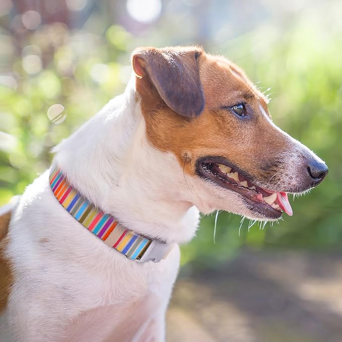 AirTag Dog Collar for Small Medium Large Breed - Image 7