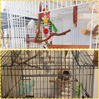 PINVNBY 2Pcs Wood Perches for Bird Cage, Natural Parrot Stand Branch Parakeet - Image 6