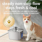 Veken Innovation Award Winner Stainless Steel Cat Water Fountain, 108oz/3.2L - Image 5