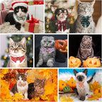 Thanksgiving Cat Collar Breakaway, Halloween Kitten Collar - Image 6