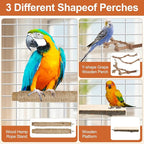 Bird Perch Stand, Pole Standing Natural Wood Bird Perch Set 5PCS Paw Grinding - Image 5
