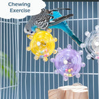 Bird Toys for Parakeets, Colorful Parakeet Toys Wheel, Interactive Spinner - Image 4