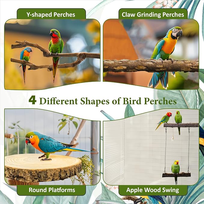 8pcs Bird Perches for Cage, Natural Wood Bird Perch for Parakeet/Cockatiel - Image 5