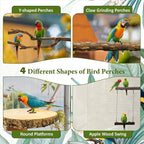 8pcs Bird Perches for Cage, Natural Wood Bird Perch for Parakeet/Cockatiel - Image 5